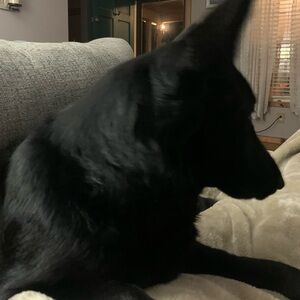 Meet your Posher, Loretta